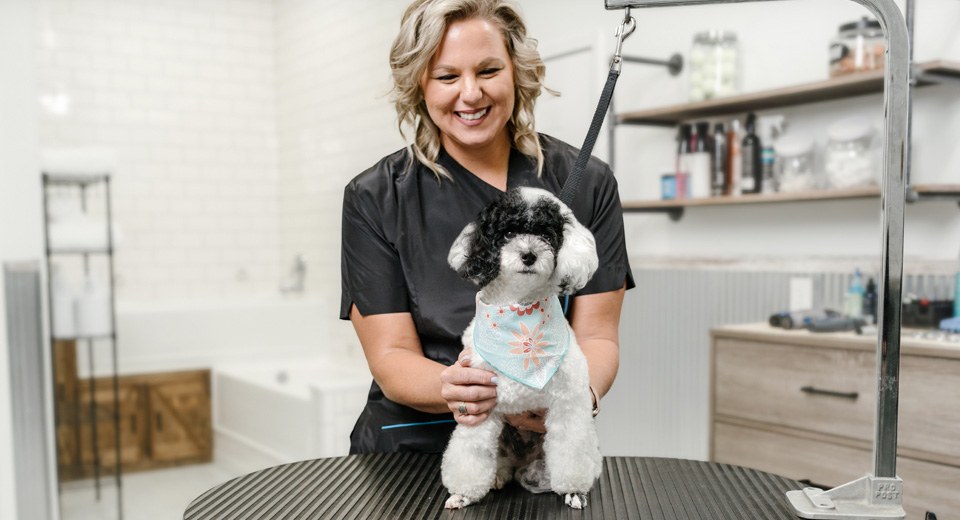 Pet grooming business owner
